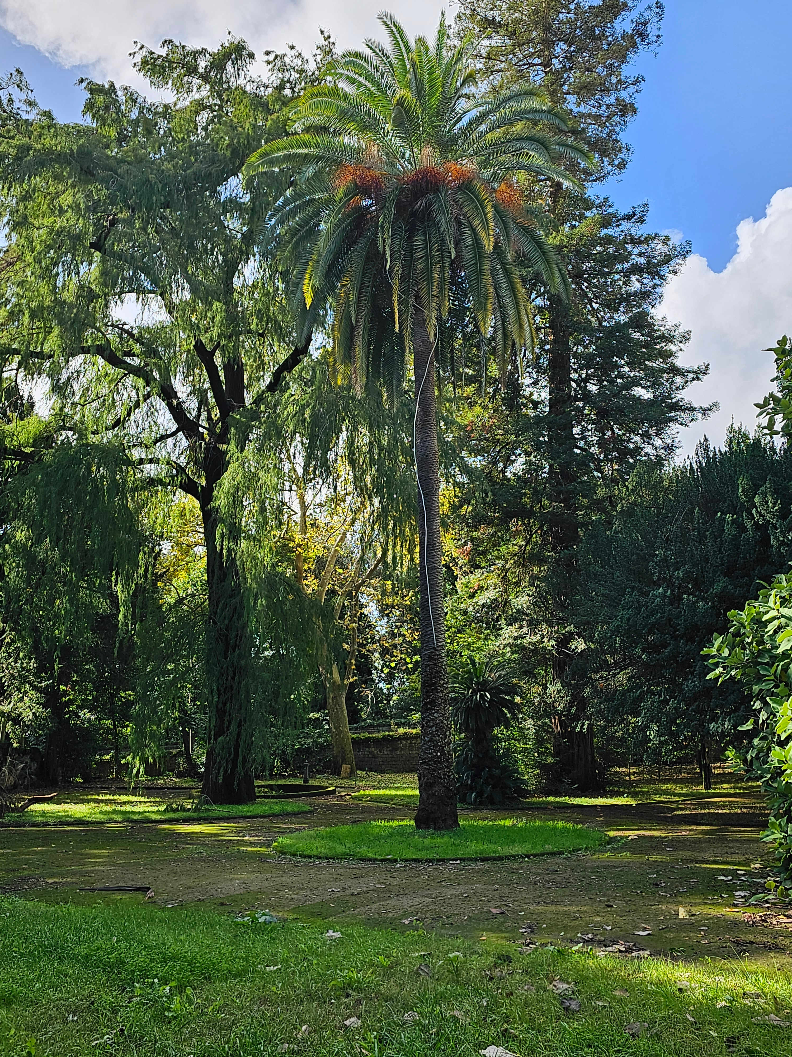 English Garden